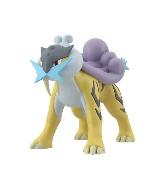 POKEMON - Pokepla 10 Raikou
