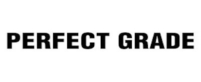 Gundam Perfect Grade